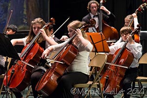 cellos