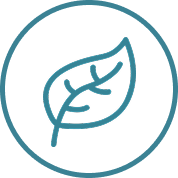 leaf in circle icon