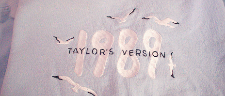 Light blue sweatshirt that reads 1989 Taylor's Version surrounded by seagulls.