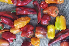 Peppers