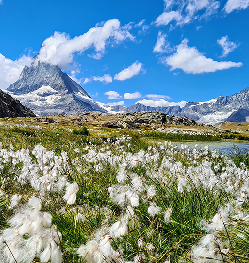 Beautiful spring flowers and the famous slopes in Velaris