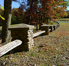 Camp Washington-Carver landscape.